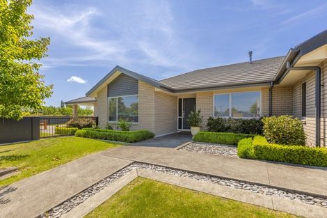 Photo of property in 106 Mount Herbert Road, Waipukurau, 4200