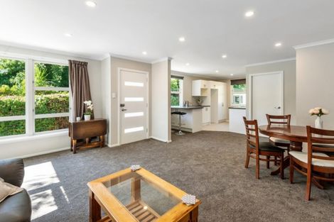 Photo of property in 46a Palatine Terrace, Saint Martins, Christchurch, 8022