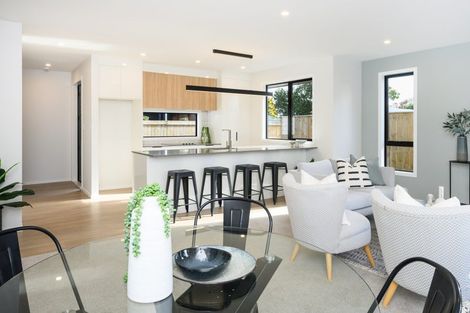 Photo of property in 10c Limbrick Street, Terrace End, Palmerston North, 4410