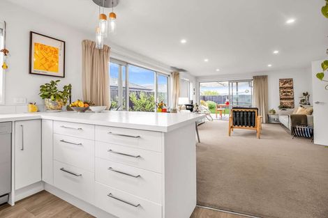 Photo of property in 65 Zabeel Street, Lincoln, 7608