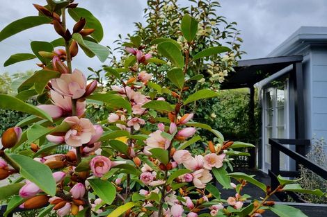 Photo of property in 120 Queen Street, Thames, 3500
