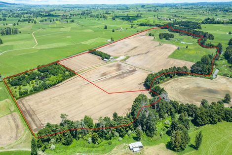 Photo of property in 314 Campbell Road, Richmond Downs, Walton, 3475