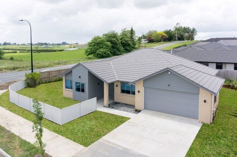 Photo of property in 124 Hare Puke Drive, Flagstaff, Hamilton, 3210