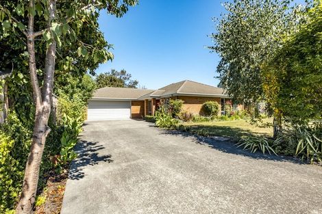 Photo of property in 6a Highfield Street, Culverden, 7392