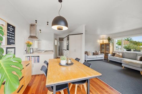 Photo of property in 329 Frankley Road, Ferndale, New Plymouth, 4310