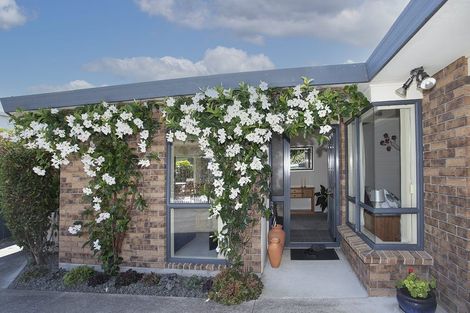 Photo of property in 40b Grange Road, Otumoetai, Tauranga, 3110