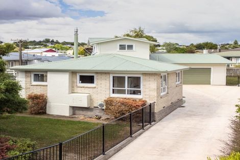 Photo of property in 8 Wilder Street, Waipukurau, 4200