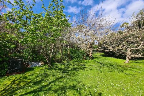 Photo of property in 2225 Tiki Sh25 Road, Preece Point, Coromandel, 3506