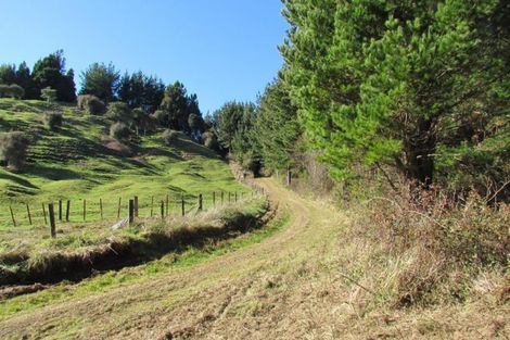 Photo of property in 1028b Mcivor Road, Rotoma, Whakatane, 3194