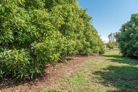 Photo of property in 30c Thompsons Track, Aongatete, 3178
