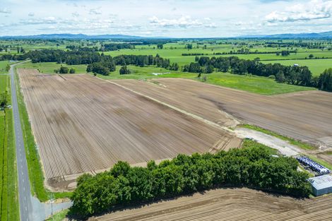 Photo of property in 314 Campbell Road, Richmond Downs, Walton, 3475