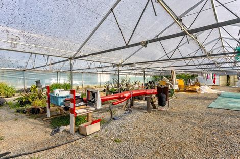 Photo of property in 20 Haywood Lane, Tawharanui Peninsula, Warkworth, 0986