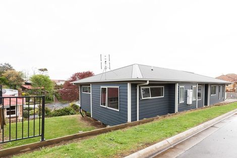Photo of property in 58a Lorna Street, Lynmouth, New Plymouth, 4310
