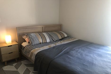 Photo of property in Dual Apartments, 301/142u Vivian Street, Te Aro, Wellington, 6011