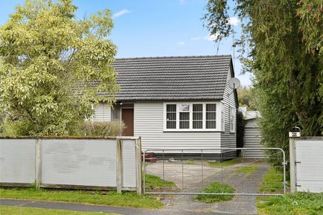 Photo of property in 60 Alfred Street, Fairfield, Hamilton, 3214