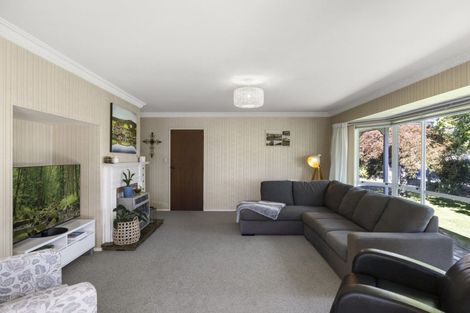 Photo of property in 12 Tynan Street, Te Puke, 3119