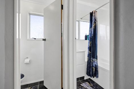 Photo of property in 158 Brecon Road, Stratford, 4332