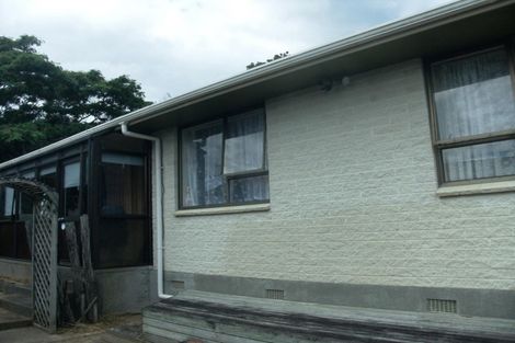 Photo of property in 167 Tiro Tiro Road, Levin, 5510