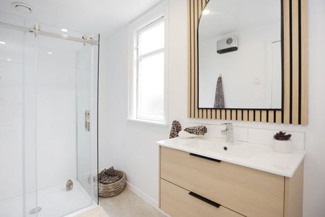Photo of property in 50 Albert Street, Saint Clair, Dunedin, 9012