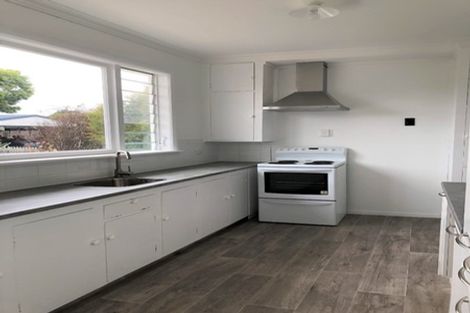 Photo of property in 18 Dudley Street, Levin, 5510
