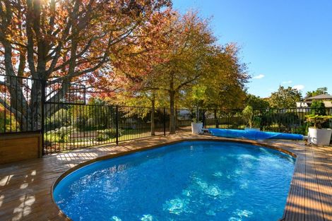 Photo of property in 38 Rowesdale Drive, Ohauiti, Tauranga, 3112