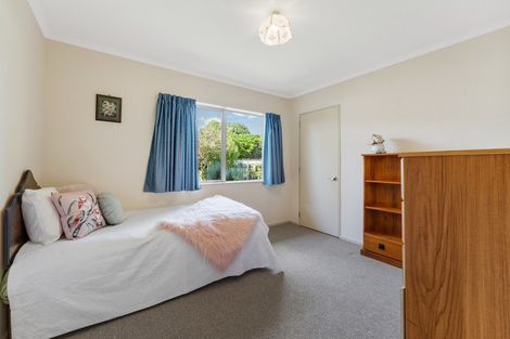Photo of property in 38 Duke Street, Levin, 5510