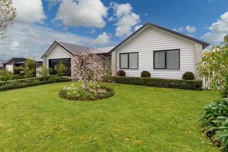 Photo of property in 120 Kennedy Road, Pyes Pa, Tauranga, 3112