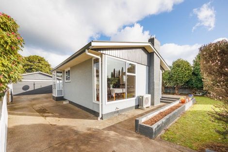 Photo of property in 132 Limbrick Street, Terrace End, Palmerston North, 4410