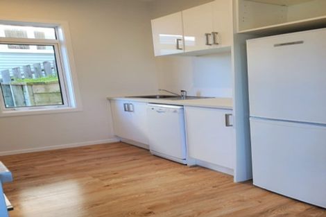 Photo of property in 102 Eden Street, Oamaru, 9400