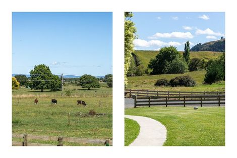 Photo of property in 11 Morrison Road, Komata, Paeroa, 3674