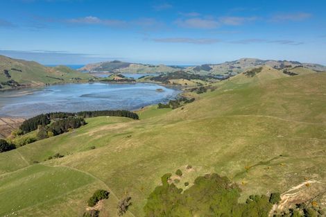 Photo of property in 452 Harington Point Road, Lower Portobello, Dunedin, 9077