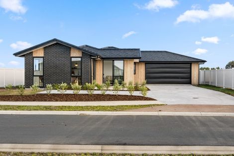 Photo of property in 77 Maturiki Drive, Ruakaka, One Tree Point, 0118