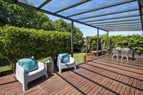 Photo of property in 17 Rimu Street, New Lynn, Auckland, 0600