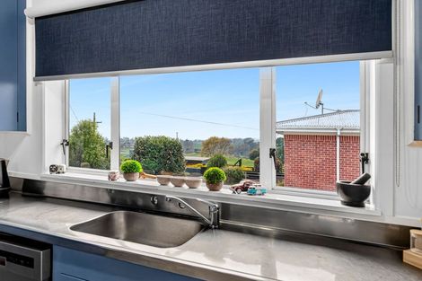 Photo of property in 17 Sholson Street, Putaruru, 3411