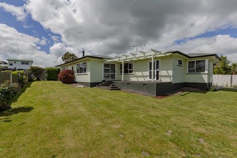 Photo of property in 61 Racecourse Road, Waipukurau, 4200
