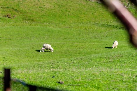 Photo of property in 275 Admiral Road, Admiral Hill, Gladstone, 5883