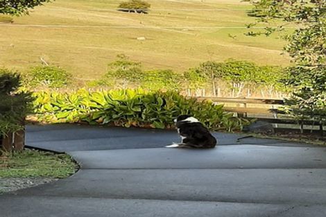 Photo of property in 2168 Ponga Road, Hunua, Papakura, 2584
