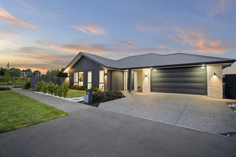 Photo of property in 1 Agathis Crescent, Wigram, Christchurch, 8025