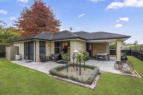 Photo of property in 14 Bronte Place, Leamington, Cambridge, 3432