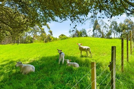 Photo of property in 340d Ngarara Road, Waikanae, 5391