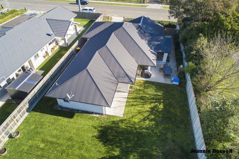 Photo of property in 96 Pharazyn Street, Feilding, 4702
