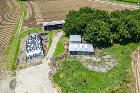Photo of property in 314 Campbell Road, Richmond Downs, Walton, 3475