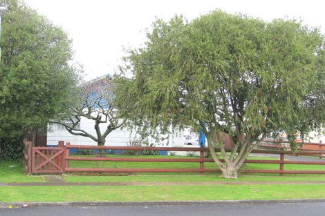 Photo of property in 3 Enfield Street, Nawton, Hamilton, 3200