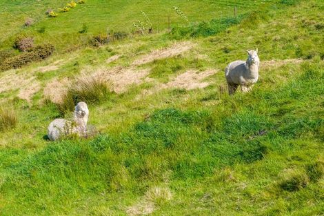 Photo of property in 187 Dublin Road, Wakefield, 7095