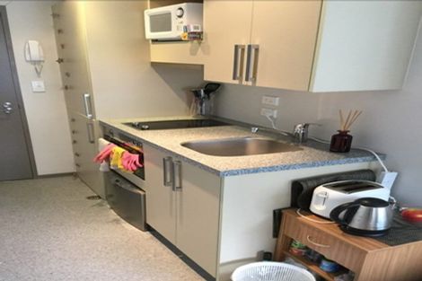Photo of property in Dual Apartments, 108/142u Vivian Street, Te Aro, Wellington, 6011