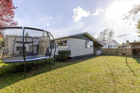 Photo of property in 5 Tainui Terrace, Inglewood, 4330