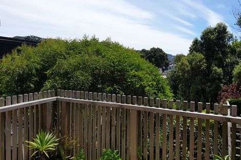 Photo of property in 46b Thompson Street, Mount Cook, Wellington, 6011