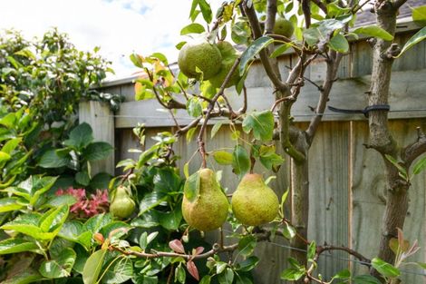 Photo of property in 21 Shelton Place, Feilding, 4702