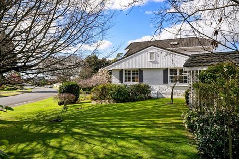 Photo of property in 60a Oxford Street, Te Puke, 3119