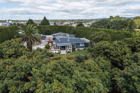 Photo of property in 13 Ronalds Lane, Te Puke, 3187